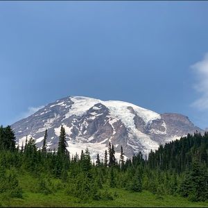 Meet your Posher, Evelyn